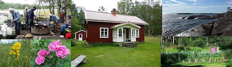 Storön, skördefest huset trädgård llippor